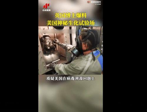 神秘爆料视频在线观看,揭秘背后惊人真相！