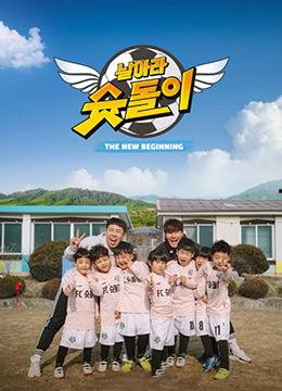 美之祭品在线观看,探寻神秘祭典背后的奇幻之旅